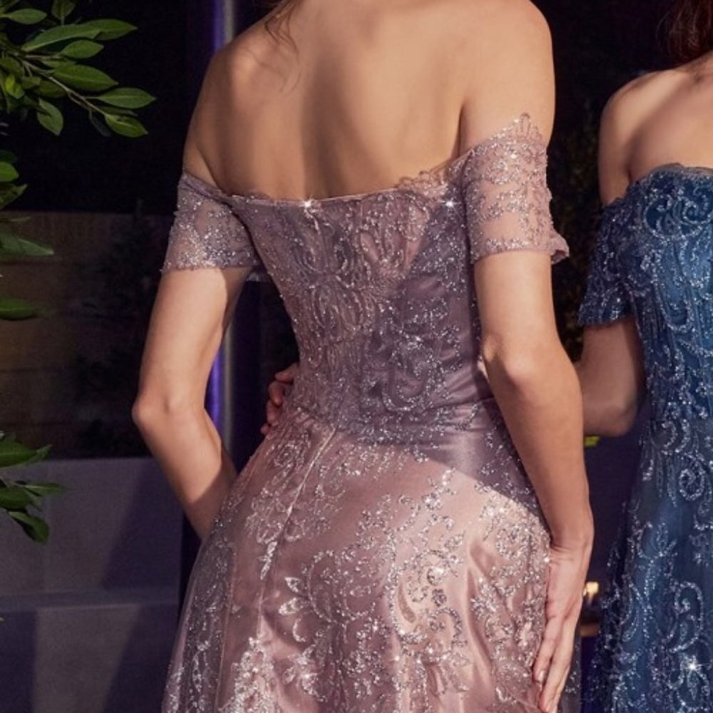 NEW LONG OFF THE SHOULDER EMBROIDERED DRESS WITH GLITTER PRINT A-LINE CD J835